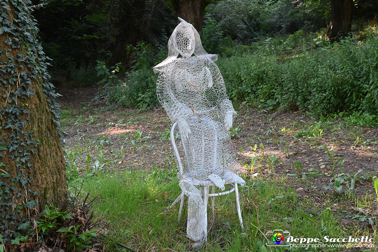 VBS_4862 - Il bosco fatato - Montaldo Roero.jpg